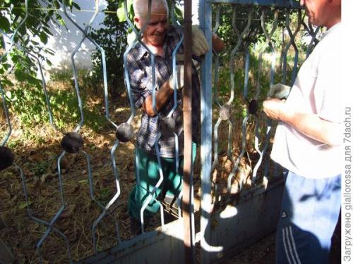 Можно ли использовать вторичные материалы для забора. Меняем забор между участками