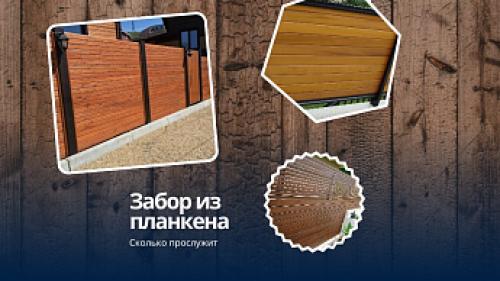 Экономим на заборе: 5 доступных вариантов для вашей дачи 07