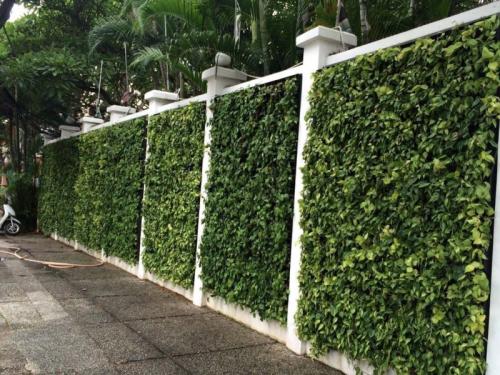 ТОП-7 дешевых материалов для забора: Эконом-варианты для вашего участка 06