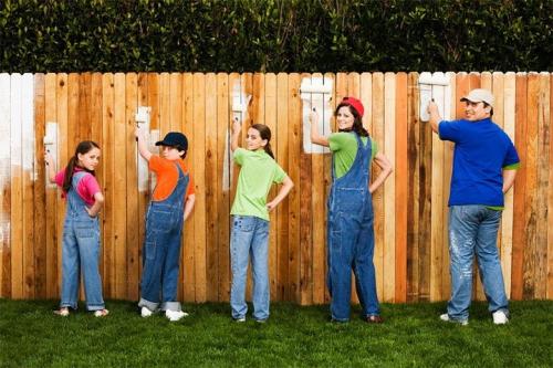 ТОП-7 дешевых материалов для забора: Эконом-варианты для вашего участка 17