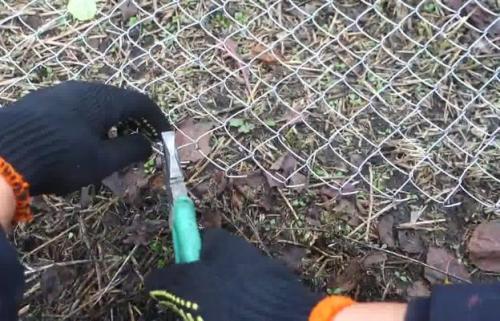 Недорогие идеи для ограждения участка: как сэкономить без ущерба качеству 08