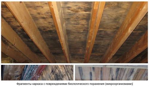 Выбираем, какие доски нужны для строительства каркасного дома. Какие доски нужны для каркасного дома: критерии выбора материала 07