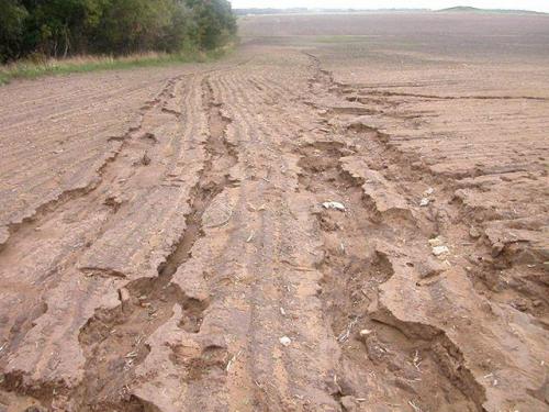 Дренаж это. Для чего нужно осушение участка?