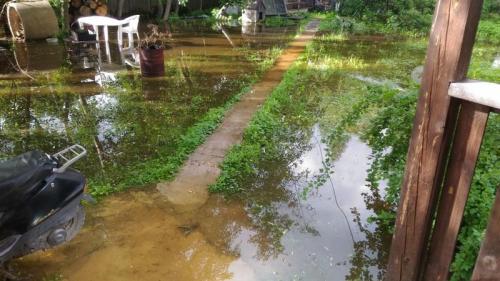 Дренажная система принцип работы. Дренаж участка: зачем он нужен +, какой тип выбрать