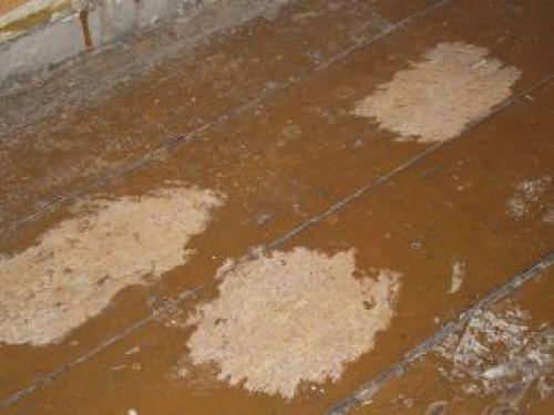 Как положить плитку на деревянный пол в ванной. Подготовка деревянного основания