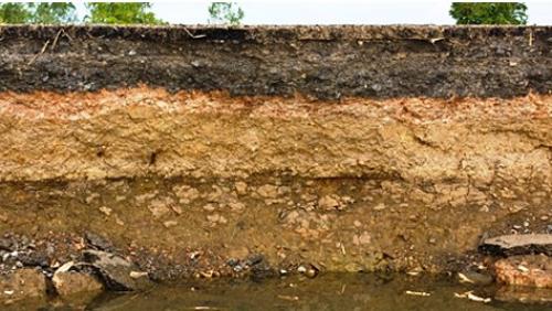 Заборы для частного дома из профнастила. Вводная часть