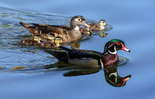 Как соединить полипропиленовые трубы без паяльника. Соединение полипропиленовых труб без пайки