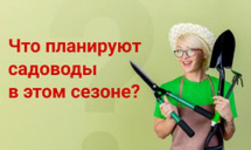 Все инструменты. Новости