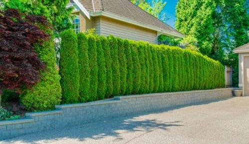 Бесплатный забор своими руками. Как сделать самый дешевый забор для дачи своими руками?