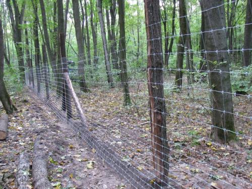 Самый дешевый забор украина. Дешеві паркани