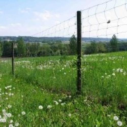 Самый дешевый забор украина. Дешеві паркани