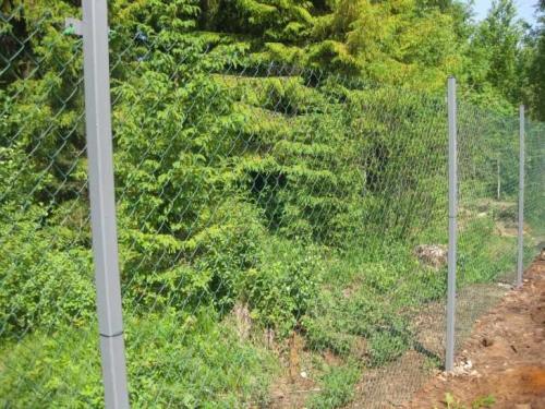 Идеи для забора своими руками. Забор из сетки-рабицы