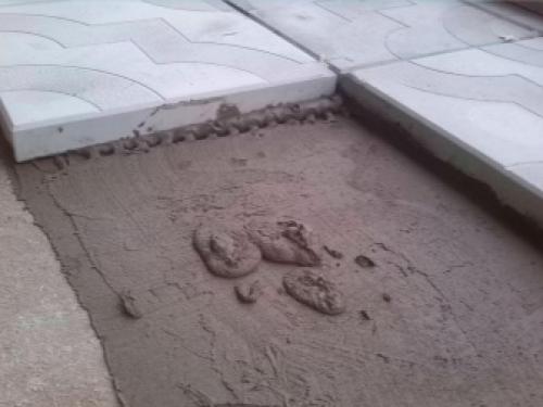 Как укладывать тротуарную плитку на песок с цементом. Укладка тротуарной плитки на песок с цементом своими руками 11