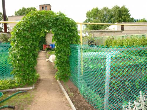 Полимерная Сетка для забора. Пластиковая Сетка для забора: преимущества и недостатки