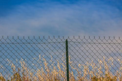 Какой забор дешевле. Какой забор выбрать для дачи?