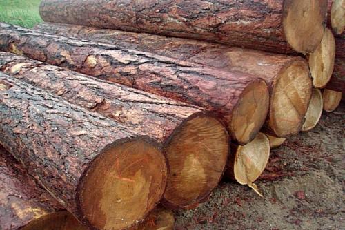 Из чего лучше построить дом для проживания. Какие материалы использовать 04