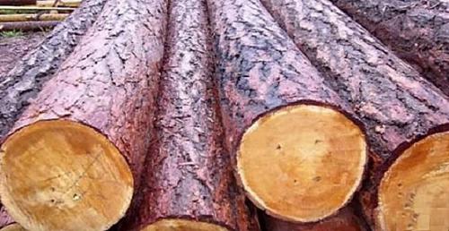 Из чего лучше построить дом для проживания. Какие материалы использовать 01