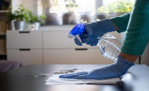 Как устранить шум и пыль во время работы. Как правильно убирать пыль в квартире