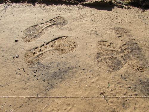 Тротуарная плитка на даче своими руками. Как уложить самодельную тротуарную плитку на даче: пошаговая инструкция