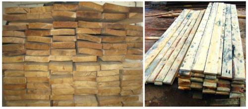 Как выбрать древесину для постройки дома. Породы древесины 03 Как выбрать древесину для постройки дома. Породы древесины 03