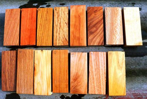 Как выбрать древесину для постройки дома. Породы древесины