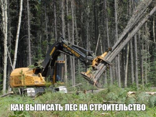 Бесплатные стройматериалы для строительства дома от государства. Бесплатные стройматериалы: 150 кубов леса на строительство дома от государства