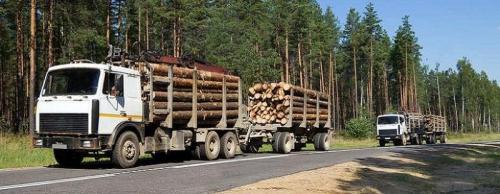 Бесплатные стройматериалы для строительства дома от государства. Бесплатные стройматериалы: 150 кубов леса на строительство дома от государства