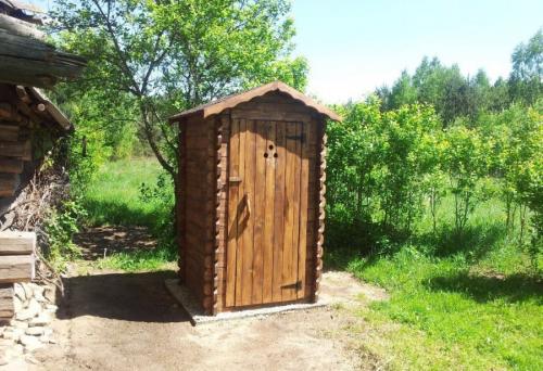 Виды дачных туалетов. Туалет для дачи — постройка своими руками и интеграция в ландшафтный дизайн (115 фото)