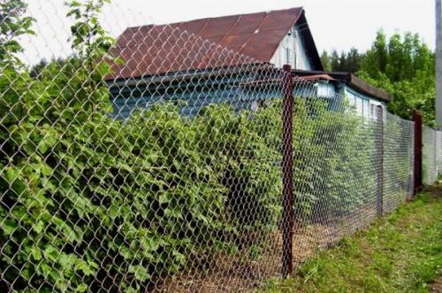 Варианты дешевого забора. Металлические заборы