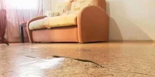 Чем заделать дырку в линолеуме. Как заделать порез на линолеуме