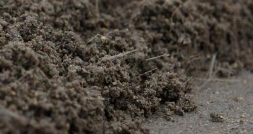 Какие проблемы могут возникнуть при строительстве бетонных дорожек. Почему самодельные бетонные дорожки долго не прослужат