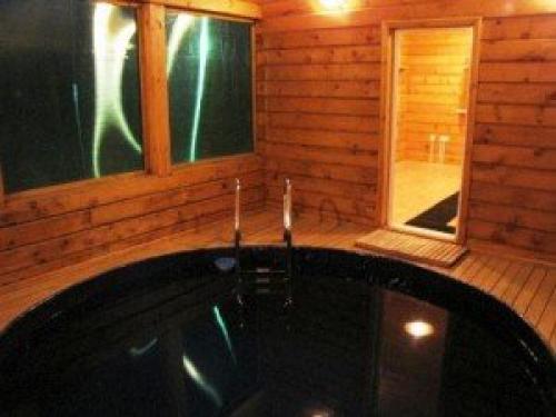 Что нужно знать перед началом строительства бани с бассейном. О проектировании бассейнов и их дизайне