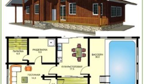 Парилка с бассейном. Сооружение домашнего бассейна: виды конструкций и их устройство 05