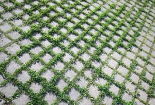 Как избавиться от травы между тротуарной плиткой навсегда. Как удалить траву между тротуарной плиткой