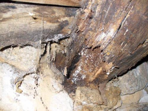 Ремонт полов в частном доме своими руками. Проблемы, с которыми можно столкнуться при ремонте деревянного пола и их решение