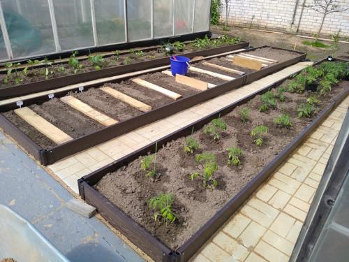 Как на даче сделать халявные дорожки. Из чего сделать дорожки между грядками: 12 популярных решений