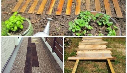 Как на даче сделать халявные дорожки. Из чего сделать дорожки между грядками: 12 популярных решений