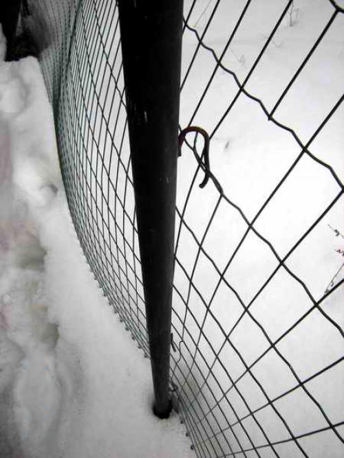 Как сделать забор самому. Из сетки