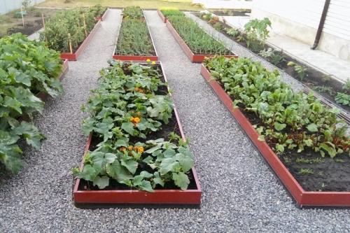 Как на даче сделать халявные дорожки. Из чего сделать дорожки между грядками: 12 популярных решений