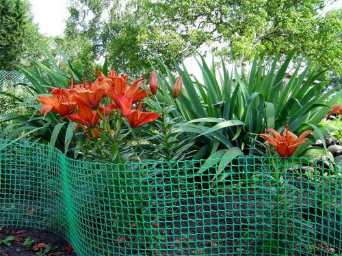 Забор из пластика: когда лучше использовать такую конструкцию