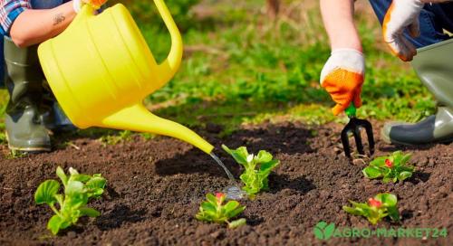 Садовые дорожки: основные принципы и технологии 08