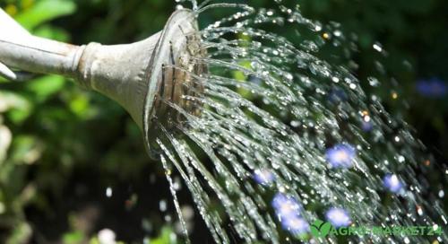 Садовые дорожки: основные принципы и технологии 07