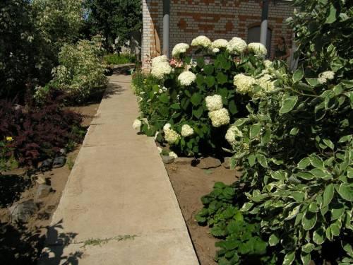 Какие инструменты необходимы для строительства бетонной дорожки. №1. Чем хороши бетонные дорожки?