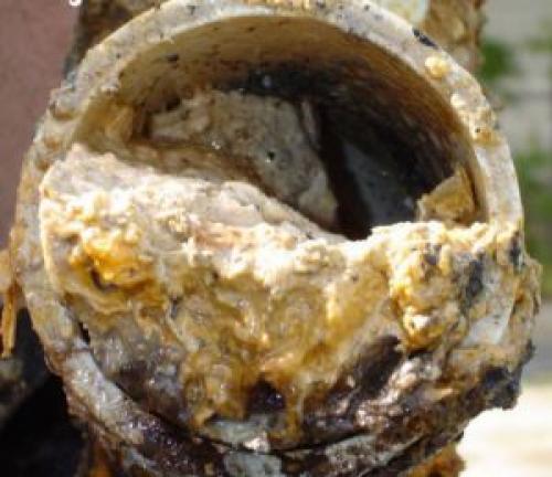 Чем промыть трубы канализации в квартире от засора. Жировой налет — устранение в домашних условиях