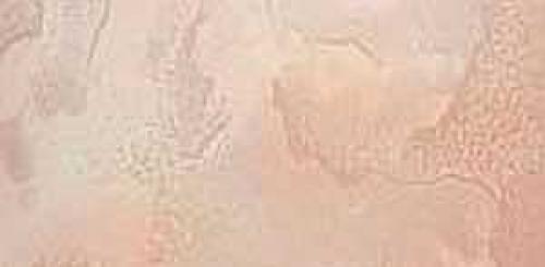 Панели пластиковые ПВХ. Виды пластиковых панелей для отделки стен