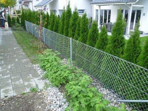 Как сетку рабицу сделать непрозрачной. Чем можно закрыть забор из сетки рабицы от соседей: непрозрачный низ
