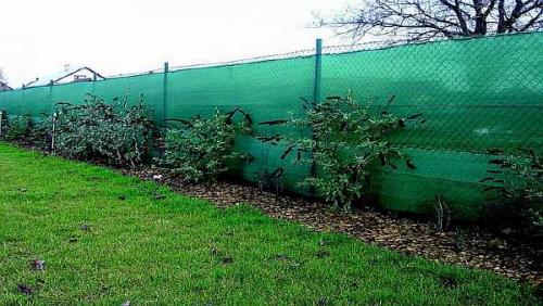 Как сетку рабицу сделать непрозрачной. Чем можно закрыть забор из сетки рабицы от соседей: непрозрачный низ