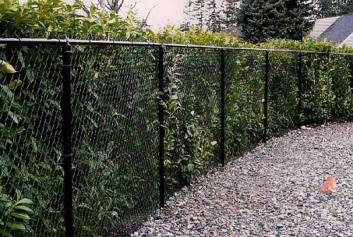 Как сетку рабицу сделать непрозрачной. Чем можно закрыть забор из сетки рабицы от соседей: непрозрачный низ