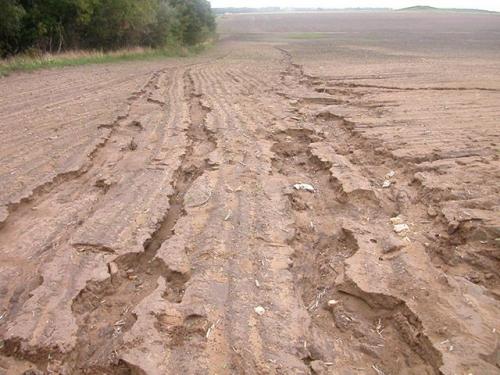Дренажная система. Для чего нужен дренаж участка