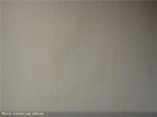 Грунтовка из пва форум. Плюсы и минусы данного состава